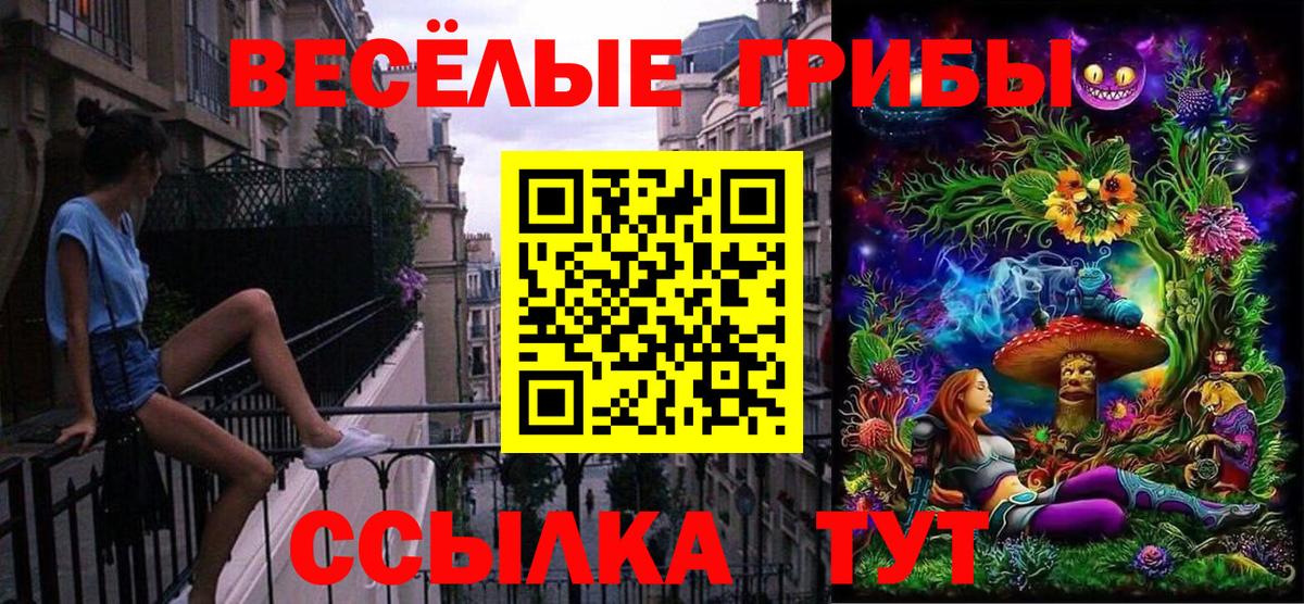 Псилоцибиновые грибы Cubensis  Галлюциногенные грибы Psilocybine cubensis  Вход с VPN  Канаш 