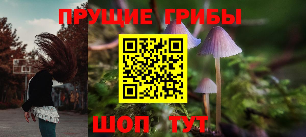 Псилоцибиновые грибы мицелий Канаш